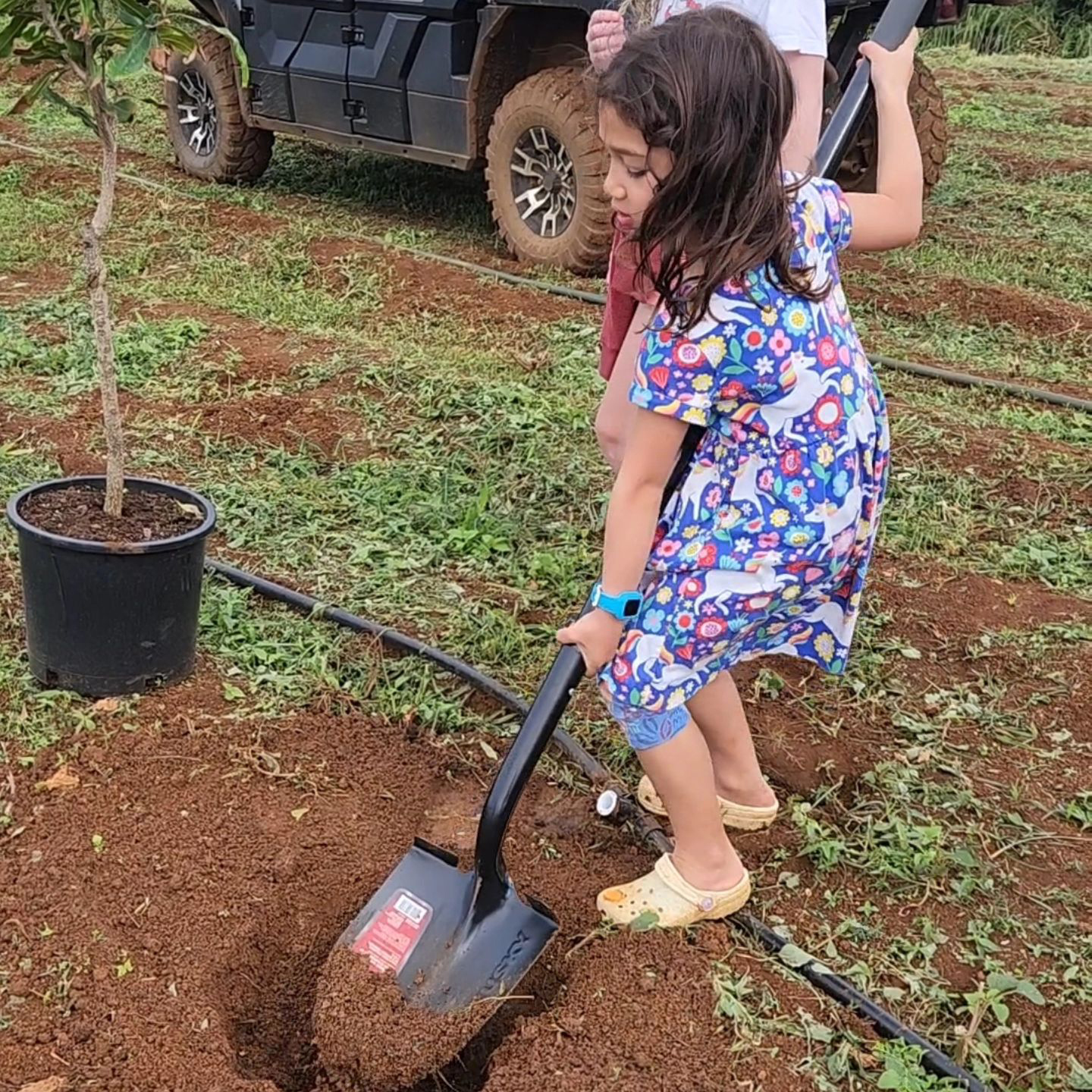 The Facebook founder said his daughters were helping to plant the macadamia trees